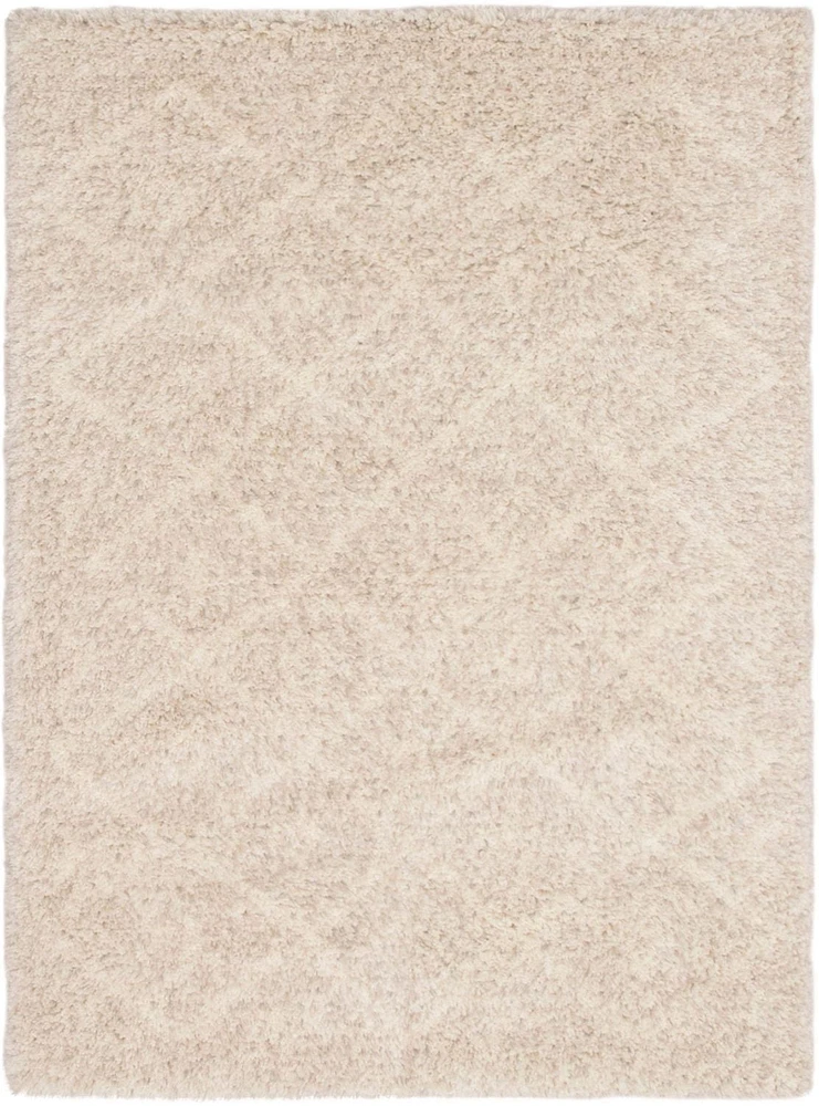 ECARPET Geometric Shag Area Rug for Living Room, Bedroom, Ultra Soft & Plush