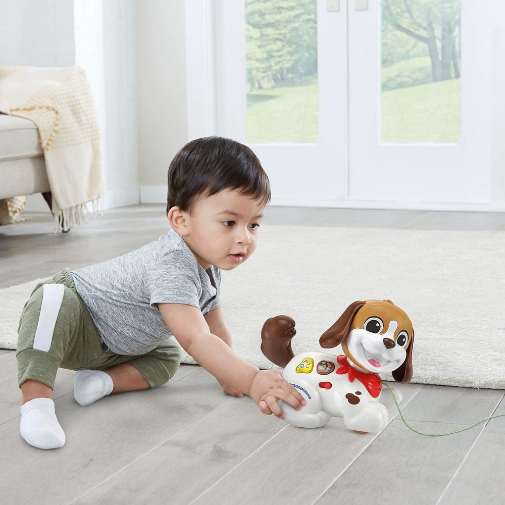 VTech Toutou 1,2,3 Promène-moi - Version francaise 12-36 Mois