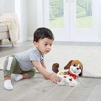 VTech Toutou 1,2,3 Promène-moi - Version francaise 12-36 Mois