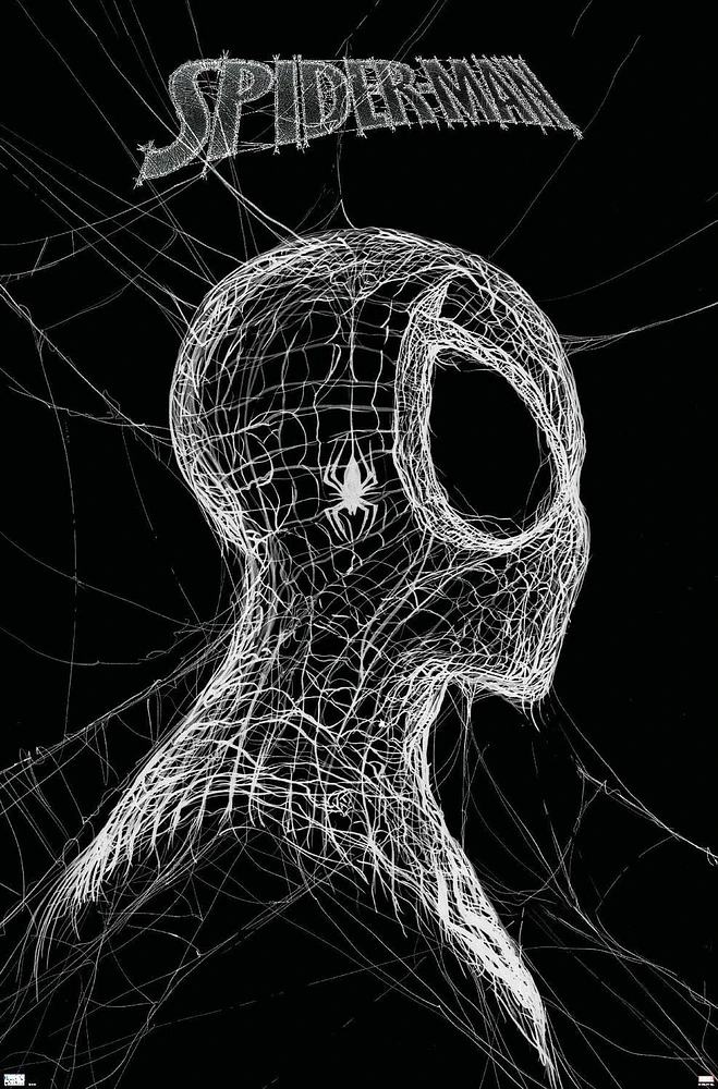 Marvel Spider-Man: World Of Webs - Black And White Wall Poster, 22.375" x 34"