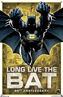 DC Comics - Batman - 80th Anniversary Wall Poster, 22.375" x 34"