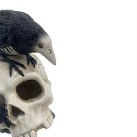 RESIN SKULL CROW TT
