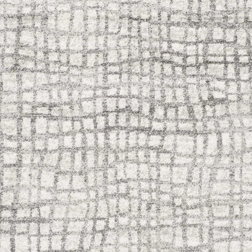 SAFAVIEH Adirondack Vasil Tapis Géométrique