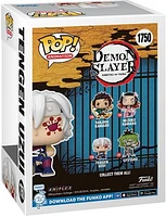 (POP Animation: DS- Tengen(Flash Back))