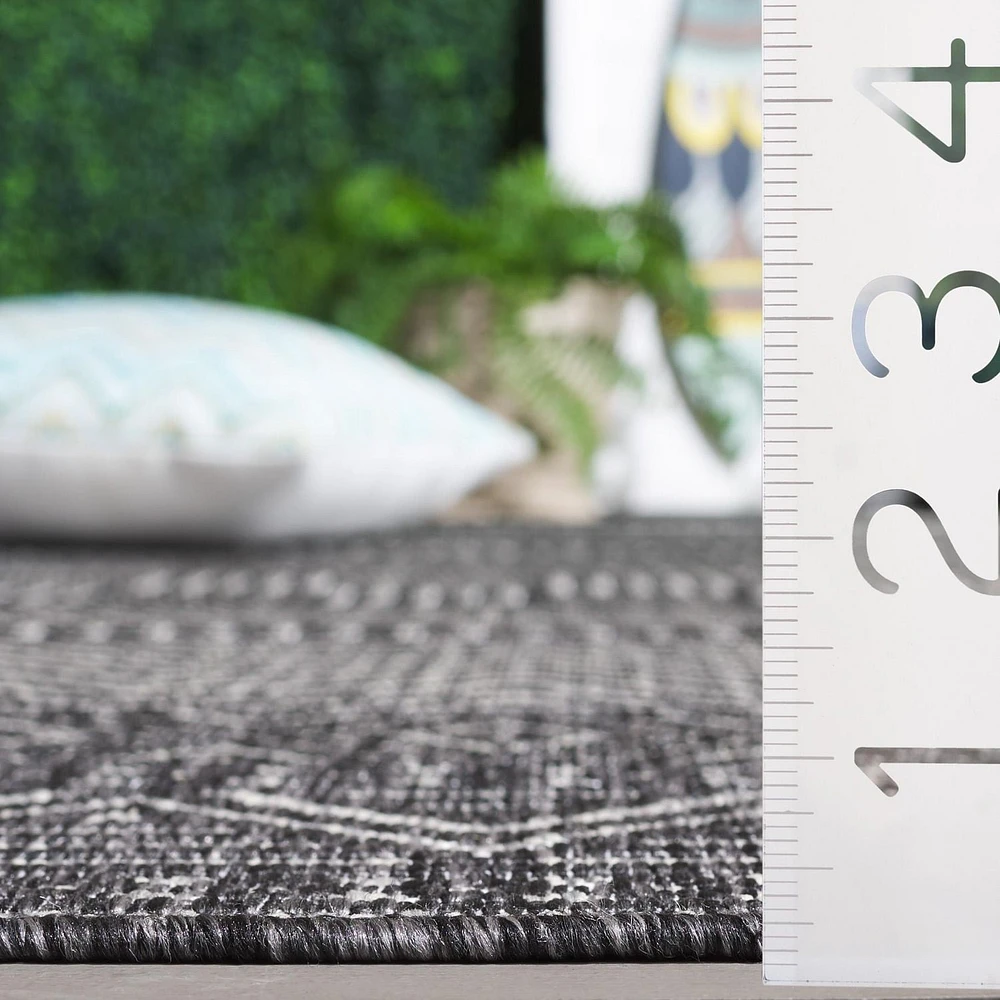 SAFAVIEH Beach House Jolanta Geometric Indoor/Outdoor Area Rug