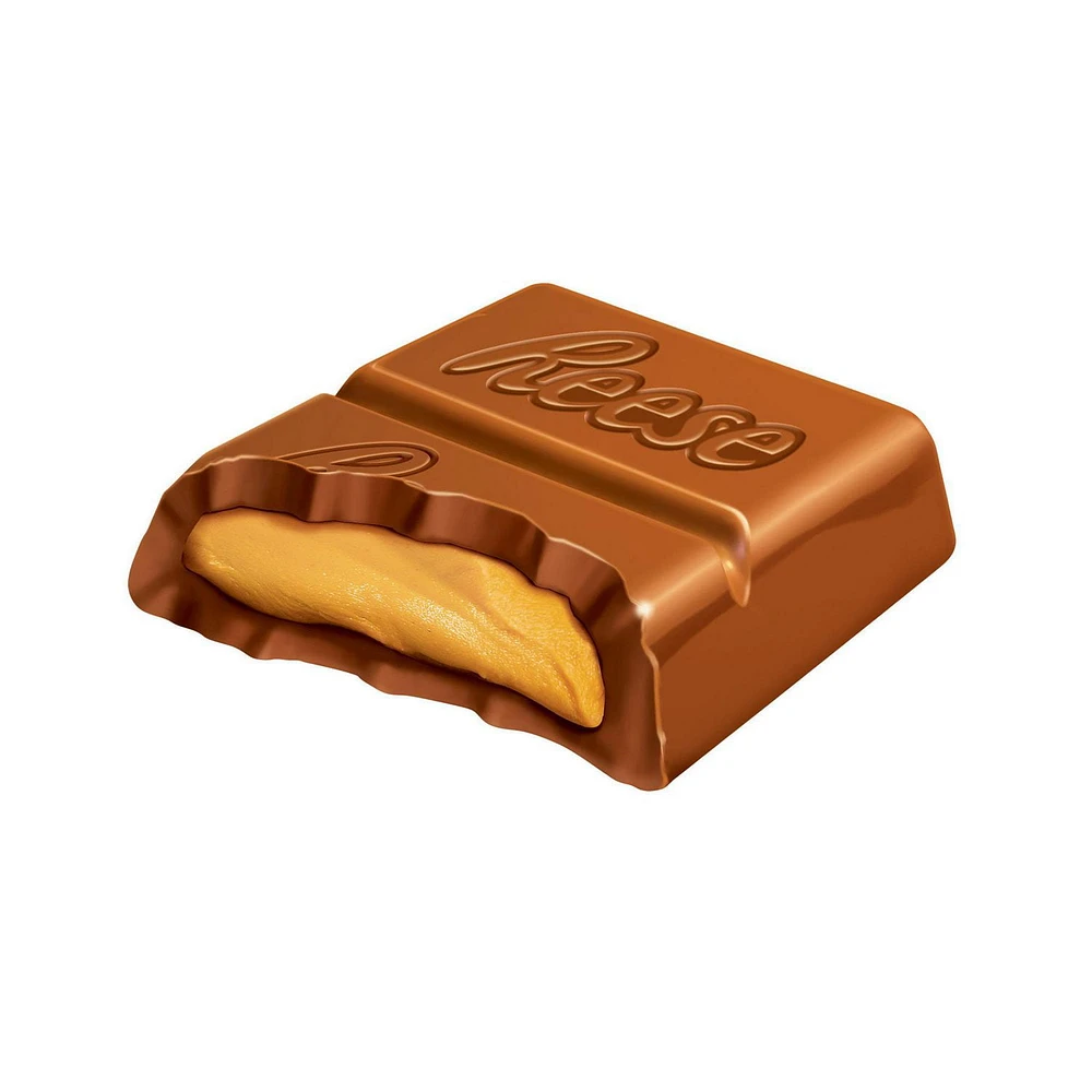 REESE Family Size Candy Bar, 120g
