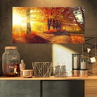 Designart Arbres d'automne dans les rayons du soleil Art mural sur toile