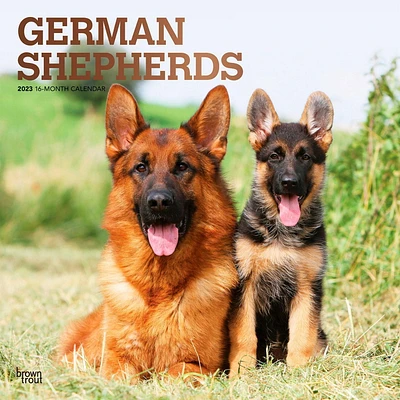 German Shepherds 2023 Square