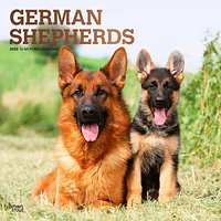 German Shepherds 2023 Square