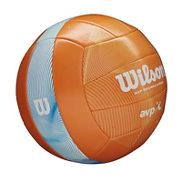 Volley-ball du mouvement AVP