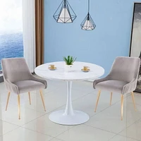 Henry III Dining Chair Set of 2 – Elegant Velvet Dining Accent Chairs with Comfortable Upholstery, Gold Legs, and Stylish Handle Detail on the Back, Perfect for Modern Dining Spaces
