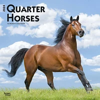 BrownTrout Quarter Horses 2024 12x24 Inch Square Wall Calendar, 9781975464738