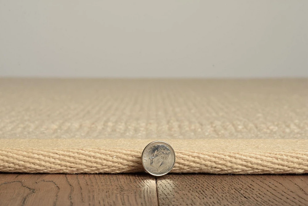 Athena Natural & Beige 9'10" x 13' Area Rug