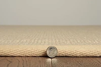 Athena Natural & Beige 9'10" x 13' Area Rug