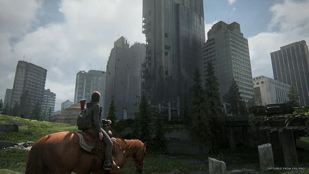 The Last of Us Part II (PS4), PlayStation 4