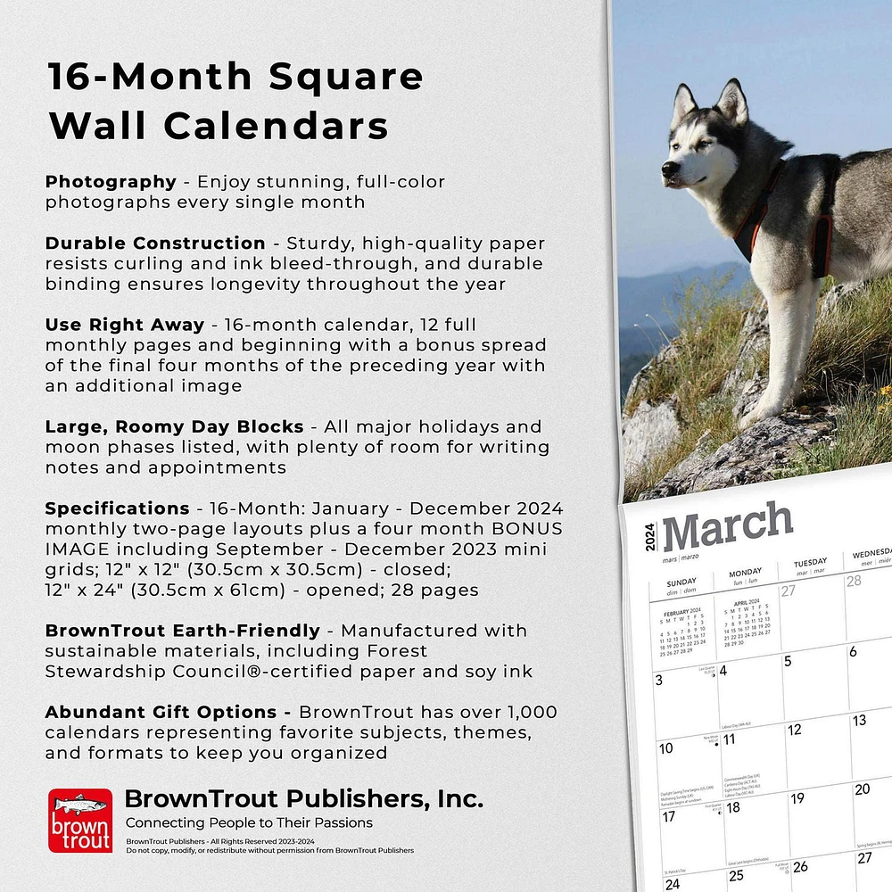 BrownTrout Siberian Huskies 2024 12x24 Inch Square Wall Calendar, 9781975465063