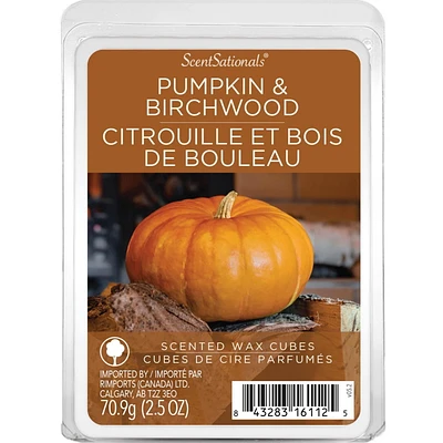 ScentSationals, Cubes de cire parfumés - Citrouille et bois de bouleau 2.5 oz (70.9 g)