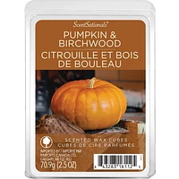 ScentSationals, Cubes de cire parfumés - Citrouille et bois de bouleau 2.5 oz (70.9 g)