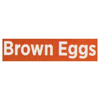 Conestoga Farms Free Range Medium Brown Eggs, 12 count