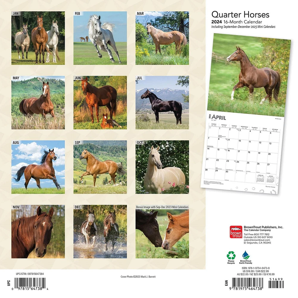 BrownTrout Quarter Horses 2024 12x24 Inch Square Wall Calendar, 9781975464738