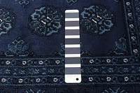 ECARPET Bokhara Oriental Area Rug for Living Room
