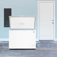 Danby DCF100A5WDB 10.00 cu. ft. Chest Freezer in White