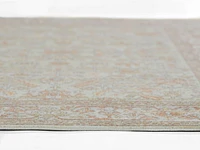 ECARPET Hailey 6'7" x 9'6" Traditional Area Rug for Living Room, Bedroom, Dining Room, Entrance, Hallway and More.