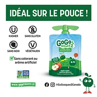 GoGo squeeZ Fruit Sauce, Apple Apple, No Sugar Added. 90g per pouch, Pack of 4, 4 x 90g pouches (360g)