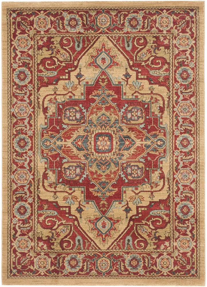 Safavieh Mahal Oswin Floral Bordered Area Rug