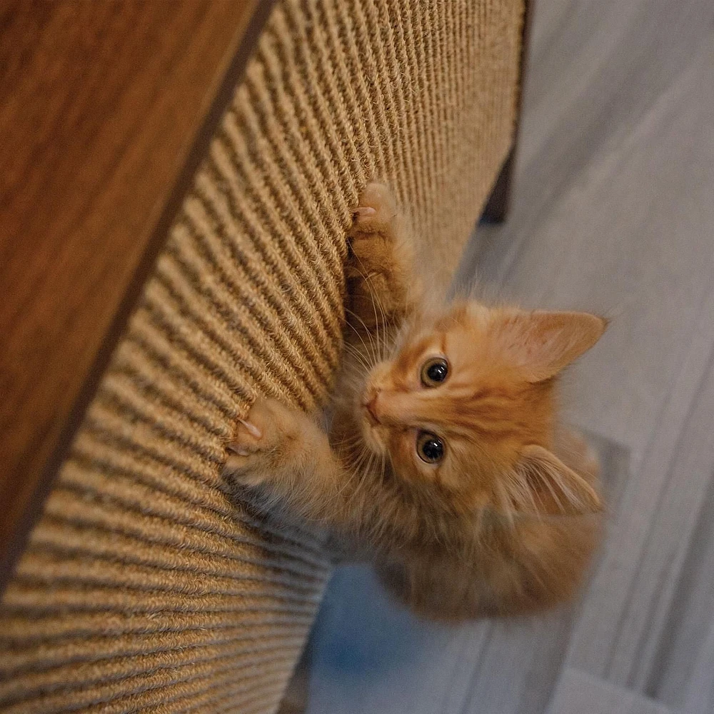 Instachew HIBI Wall Cat Scratcher with Shelf - Oak - One Size