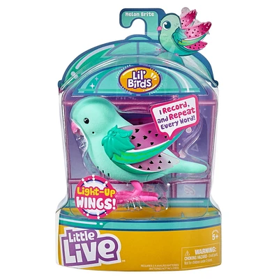 Little Live L'il Bird - Melon Bright