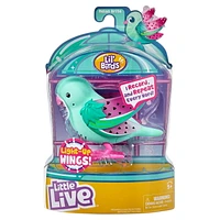 Little Live L'il Bird - Melon Bright