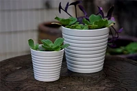 Pot nervuré de 20,3 cm Pot de fleur