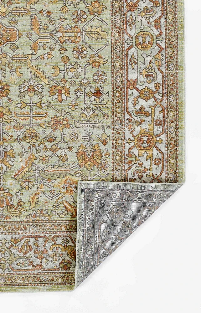 ECARPET Hailey 6'7" x 9'6" Traditional Area Rug for Living Room, Bedroom, Dining Room, Entrance, Hallway and More.