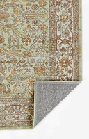 ECARPET Hailey 6'7" x 9'6" Traditional Area Rug for Living Room, Bedroom, Dining Room, Entrance, Hallway and More.