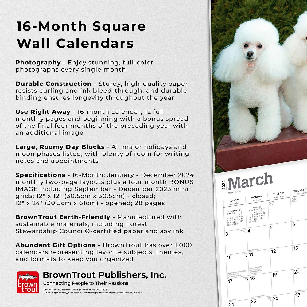 BrownTrout Toy and Miniature Poodles 2024 12x24 Inch Square Wall Calendar, 9781975467975