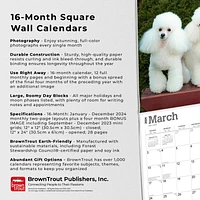 BrownTrout Toy and Miniature Poodles 2024 12x24 Inch Square Wall Calendar, 9781975467975