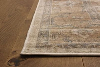 ECARPET Stassie 5'0" x 8'0" Traditional Area Rug for Living Room, Bedroom, Dining Room, Entrance, Hallway and More.