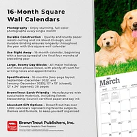 Golden Retrievers | 2023 12x24 Inch Square Wall Calendar