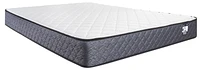 Springwall ANDREA 8" Firm Tight Top Pocket Coil Mattress in a box