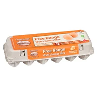 Conestoga Farms Free Range Medium Brown Eggs, 12 count