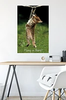 Famous Kitten Hang In There Poster Wall Poster, 22.375" x 34"