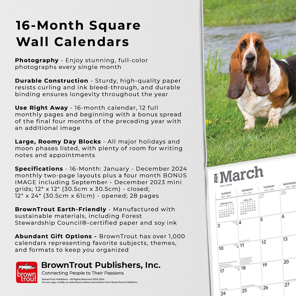 BrownTrout Basset Hounds 2024 12x24 Inch Square Wall Calendar, 9781975457839