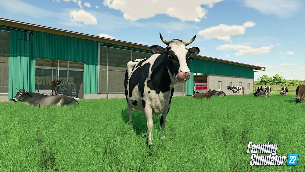 Farming Simulator 22 (PS4), PlayStation 4