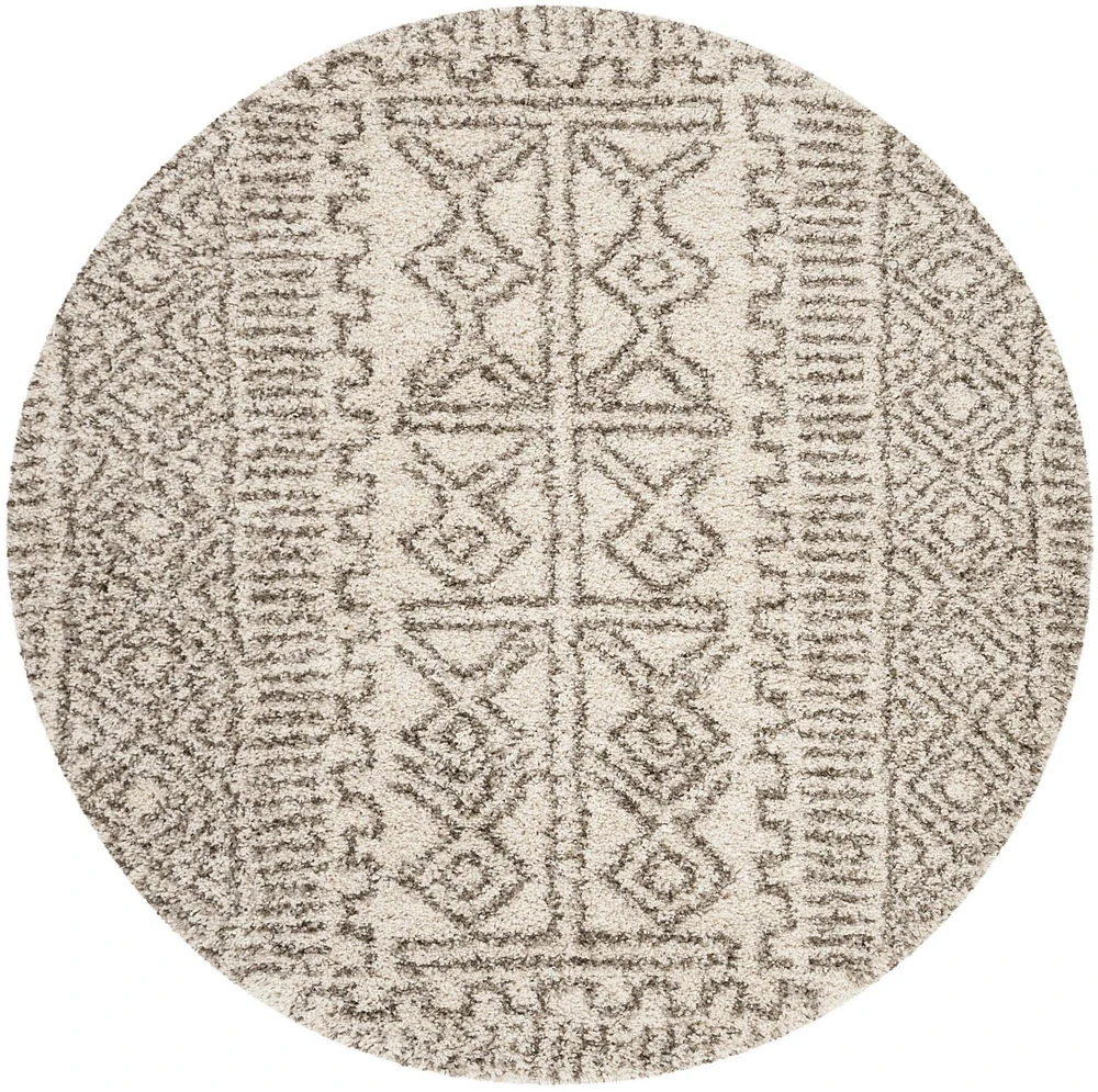 SAFAVIEH Hudson Raphael Contemporary Shag Area Rug