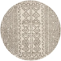 SAFAVIEH Hudson Raphael Contemporary Shag Area Rug