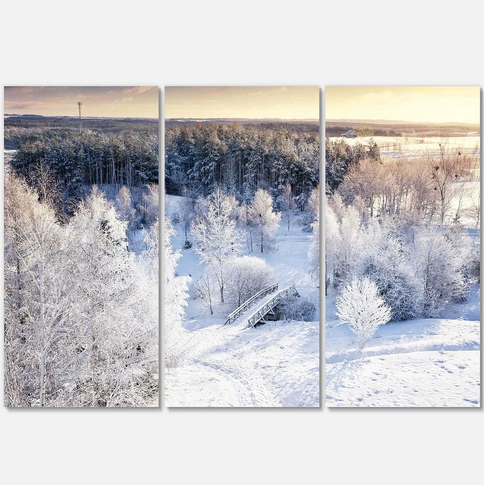 Designart Beautiful Winter Panorama Canvas Wall Art