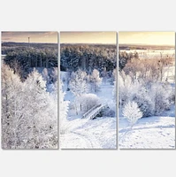 Designart Beautiful Winter Panorama Canvas Wall Art