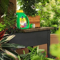 Miracle-Gro Shake N Feed engrais pour plantes tout usage  12-4-8  2.04 Kg