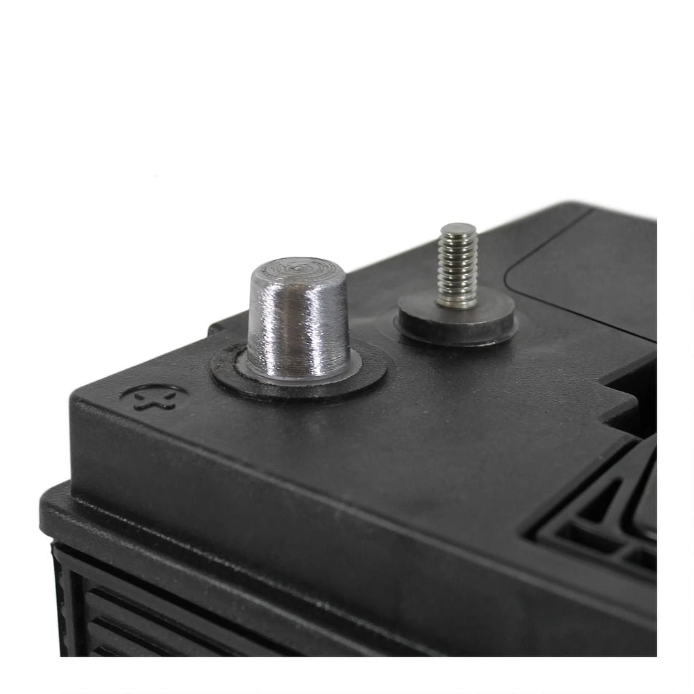 EverStart MARINE MAXX-DC31DT, 12 Volt, Marine/RV Battery, Group Size 31, 800 MCA, EverStart, Marine Battery